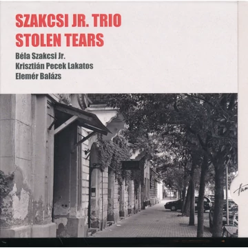 Szakcsi Jr. Trio - Stolen Tears