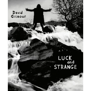 David Gilmour - Luck and Strange
