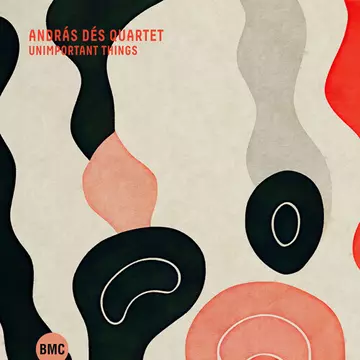 Dés András-Quartet - Unimportant Things