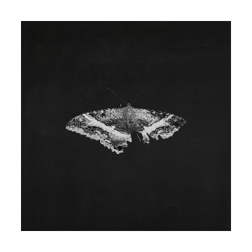 Kendrick Lamar - To Pimp a Butterfly