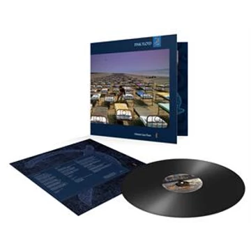 Pink Floyd - A Momentary Lapse of Reason