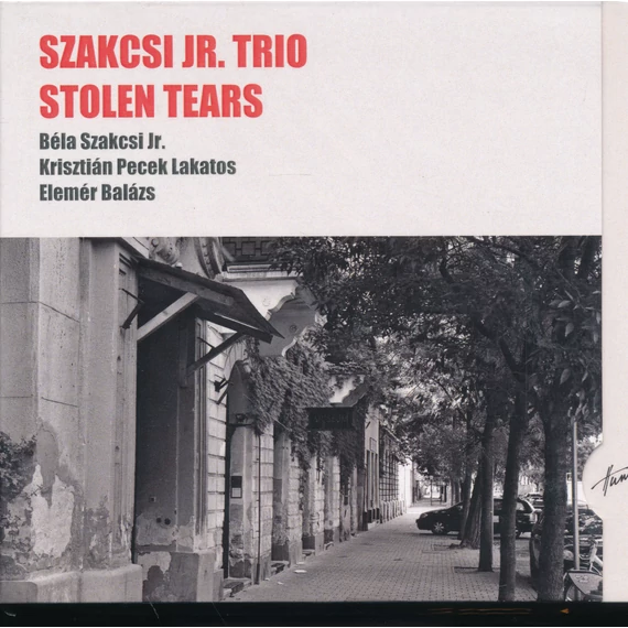 Szakcsi Jr. Trio - Stolen Tears
