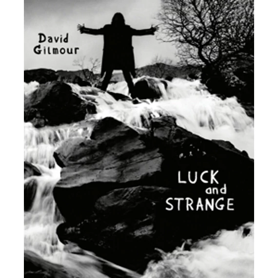 David Gilmour - Luck and Strange
