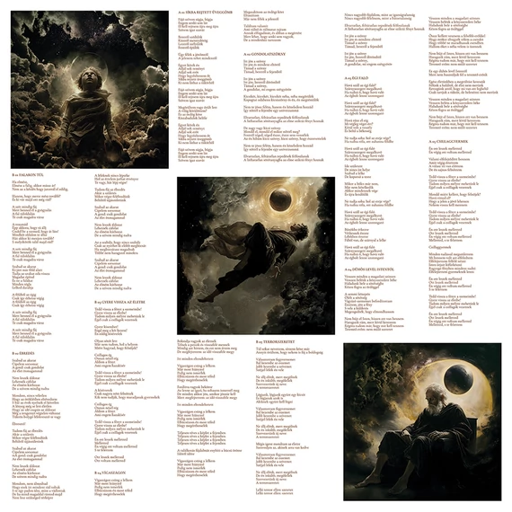Leander Kills - Ébredés