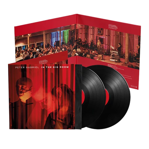 Peter Gabriel - In The Big Room