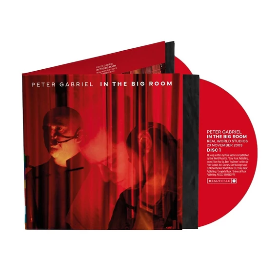 Peter Gabriel - In The Big Room