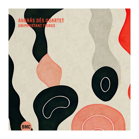 Dés András-Quartet - Unimportant Things