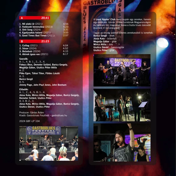 Varga János Project - Best Of Gastroblues