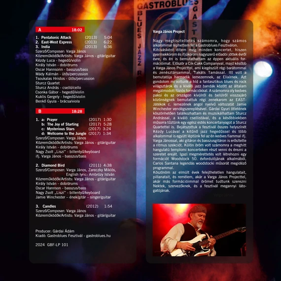 Varga János Project - Best Of Gastroblues